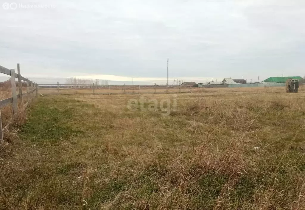 Участок в Омская область, Азовский немецкий район, деревня Круч, ... - Фото 1