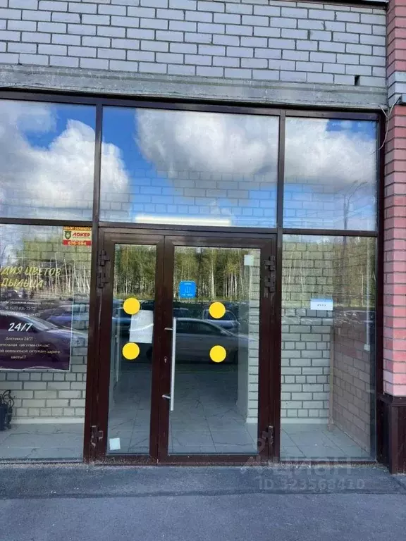 Помещение свободного назначения в Вологодская область, Череповец ... - Фото 1