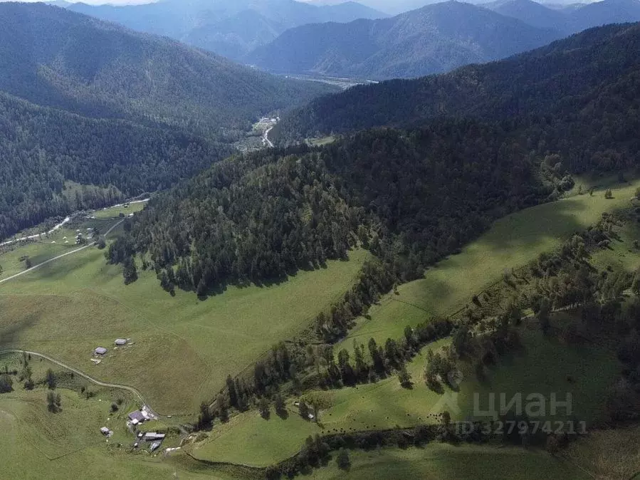 Участок в Алтай, Чемальский район, Узнезинское с/пос, с. Узнезя  ... - Фото 2