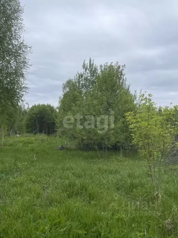 Купить Участок В Бабынинском Районе Калужской Области