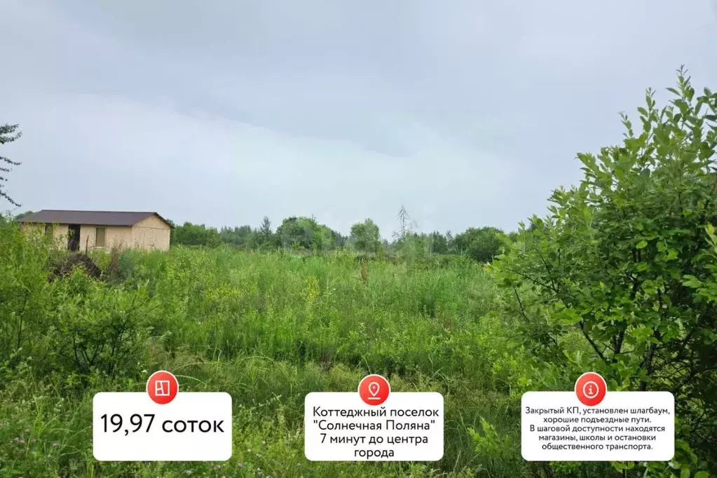 Участок в Хабаровский край, Хабаровский район, с. Мирное, Солнечная ... - Фото 0