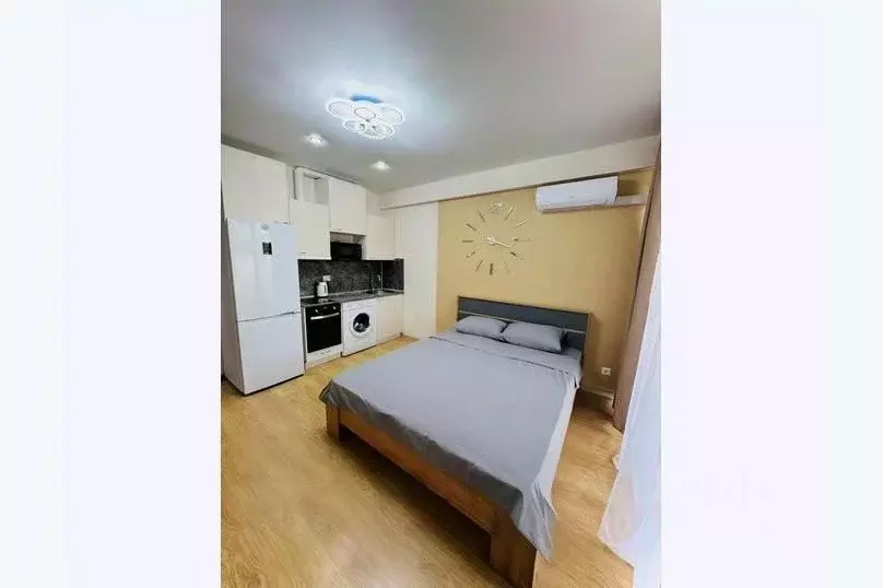 1-к кв. Краснодарский край, Сочи городской округ, Дагомыс пгт ул. ... - Фото 1