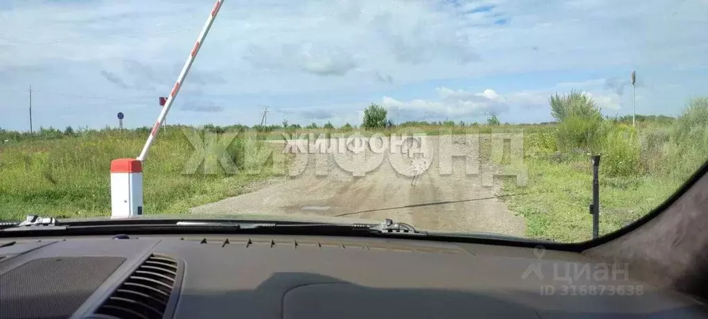 Участок в Новосибирская область, Мошковский район, Барлакский ... - Фото 1