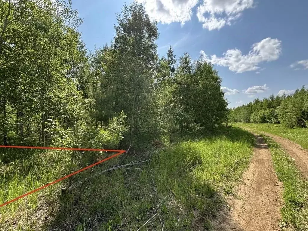Участок в Иркутская область, Шелеховский район, Баклашинское ... - Фото 0