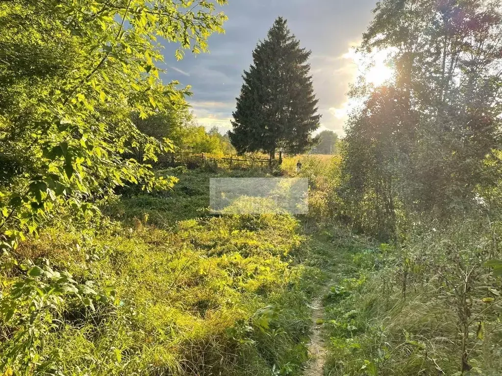 Участок в Московская область, Чехов муниципальный округ, д. Крюково ... - Фото 2