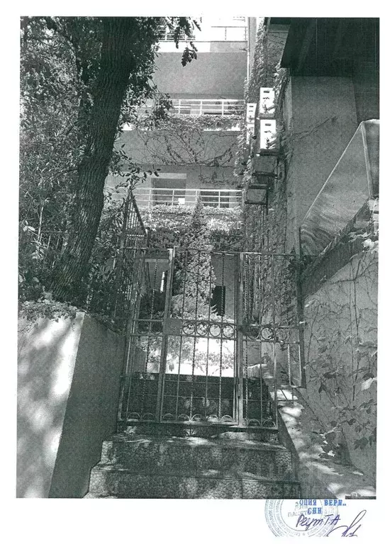 Помещение свободного назначения в Крым, Ялта муниципальный округ, ... - Фото 2