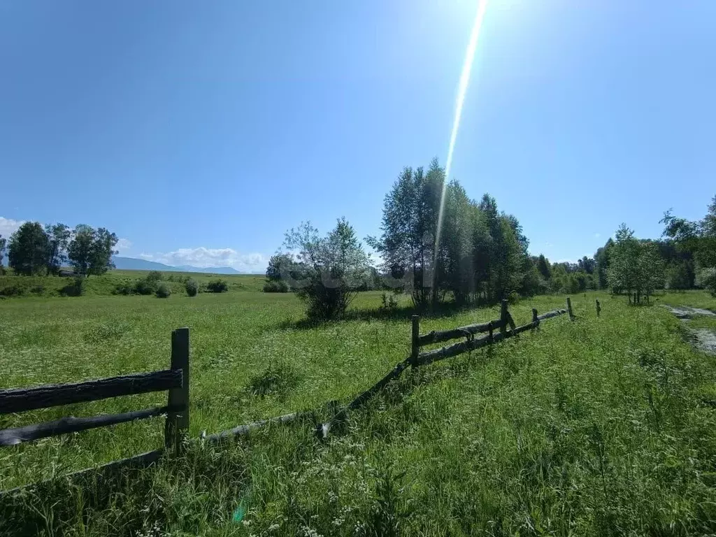 Участок в Алтай, Усть-Коксинский район, пос. Октябрьское ул. Дорожная, ... - Фото 1