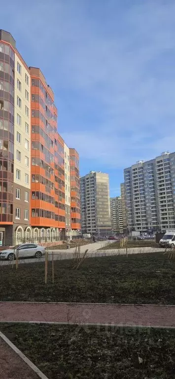 Студия Ленинградская область, Мурино Всеволожский район, ул. Шоссе в ... - Фото 1