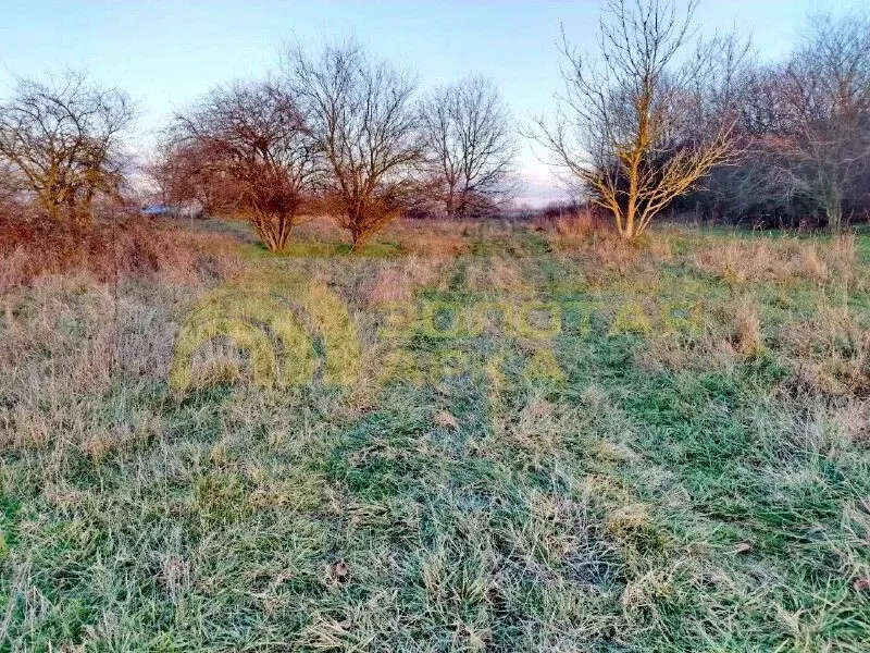 Участок в Краснодарский край, Абинский район, Холмское с/пос, Холмская ... - Фото 2