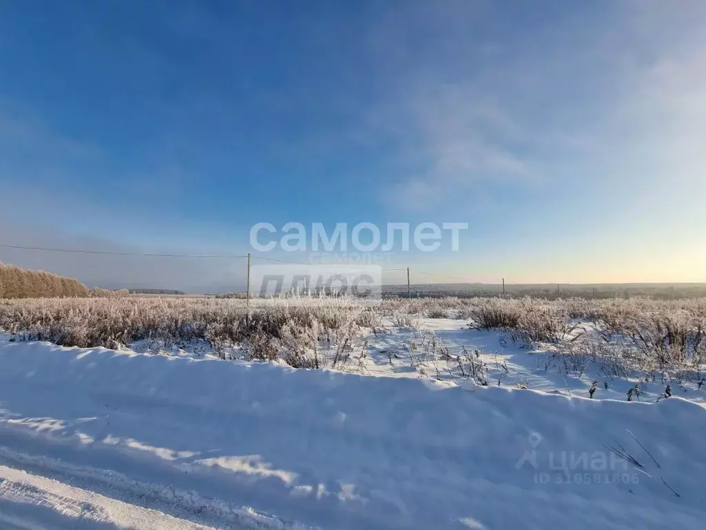 Участок в Удмуртия, Завьяловский район, Горка-2 ДНТ ул. Кольцевая, 17 ... - Фото 0