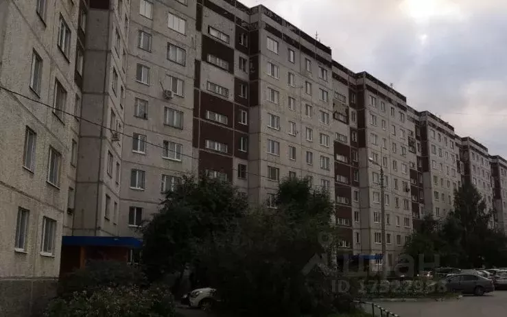 Арина ул самарцева 30 фото