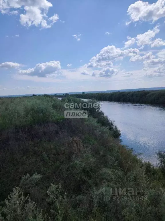 Участок в Тюменская область, Исетский муниципальный округ, д. Турушево ... - Фото 1