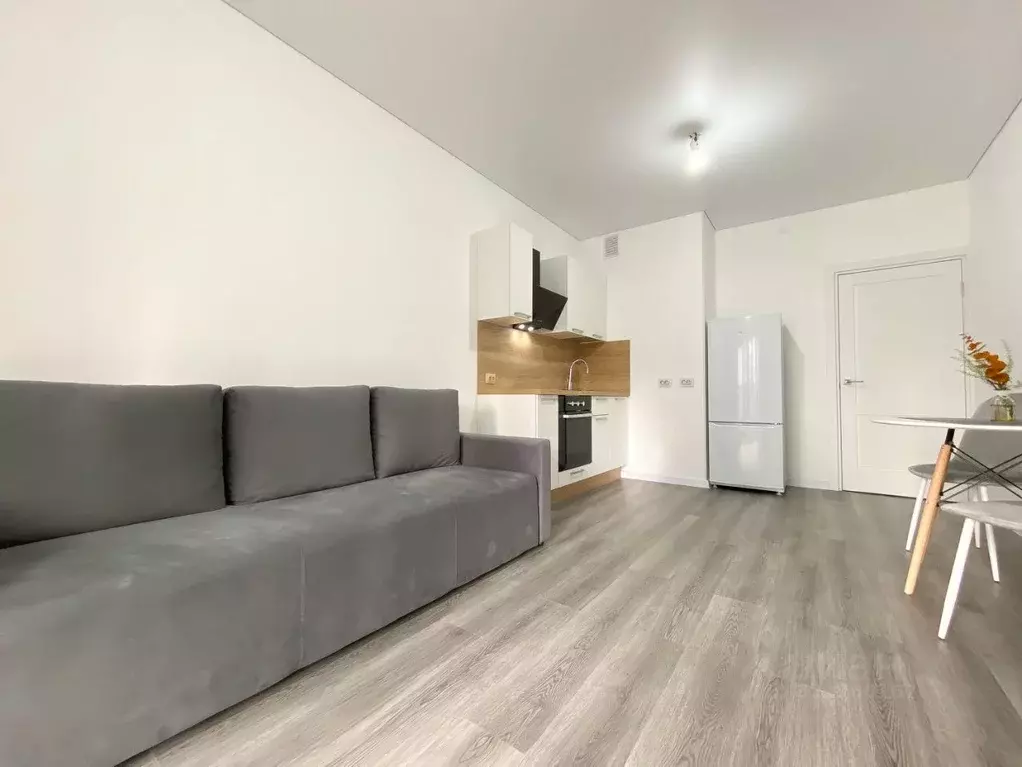 Студия Санкт-Петербург ул. Ультрамариновая, 5 (24.1 м) - Фото 1