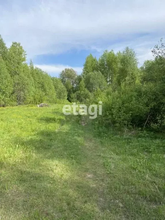 Участок в Ленинградская область, Лодейнопольский район, Алеховщинское ... - Фото 0