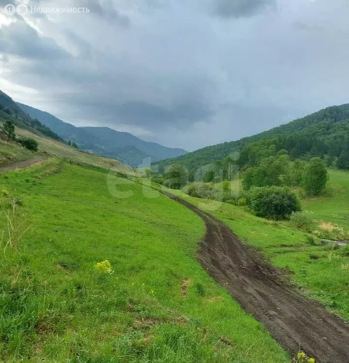Участок в Шебалинский район, село Шебалино (110 м) - Фото 1
