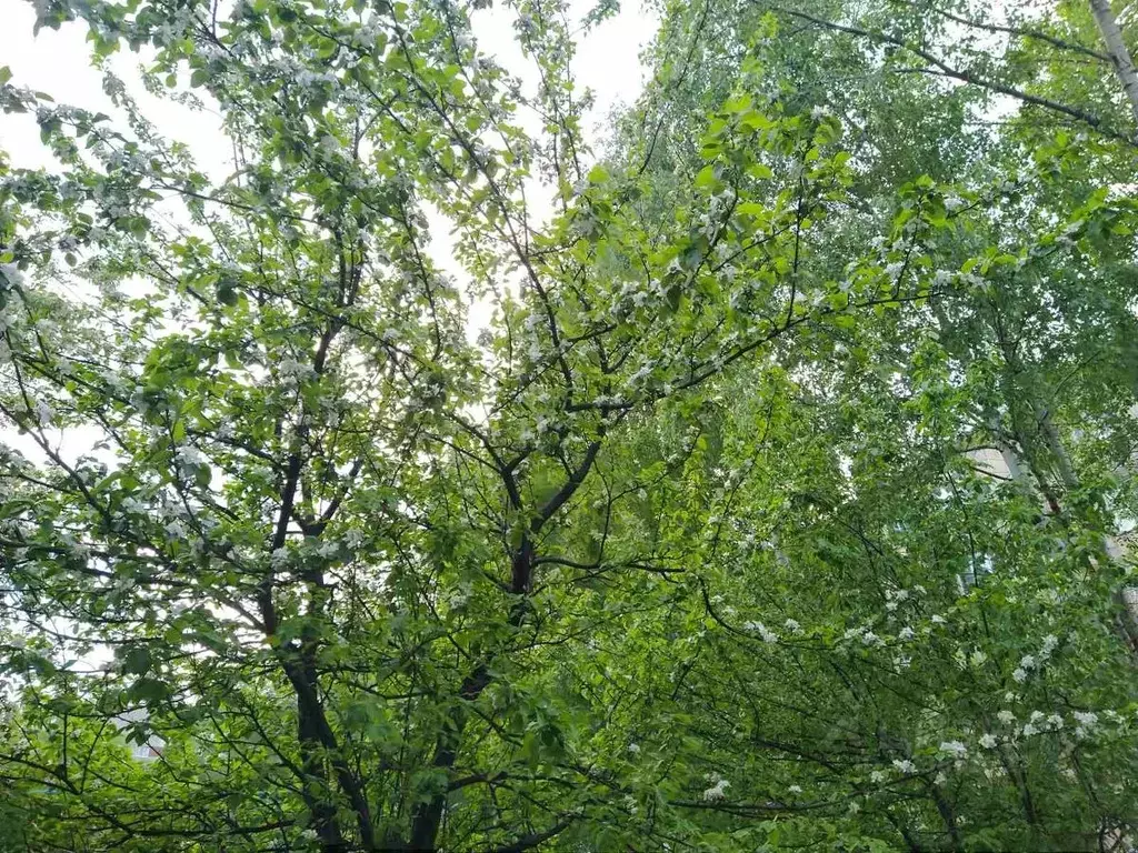 3-к кв. Удмуртия, Ижевск ул. 10 лет Октября, 47 (59.0 м) - Фото 2