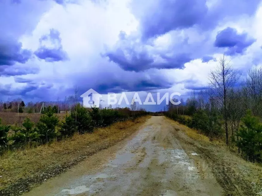 Участок в Владимирская область, Судогодский муниципальный округ, д. ... - Фото 2