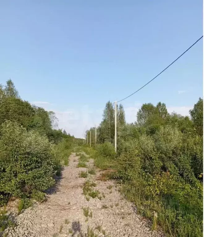 Участок в Вологодская область, Череповецкий район, д. Ирдоматка  (18.0 ... - Фото 2