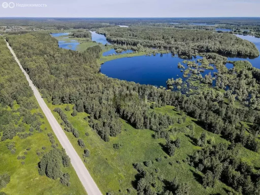 Участок в Нижнетавдинский район, село Андрюшино (10 м) - Фото 1