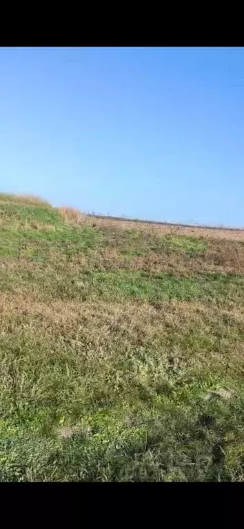 Участок в Краснодарский край, Усть-Лабинский район, Ладожское с/пос, ... - Фото 2