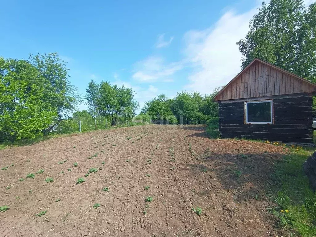 Дом в Амурская область, Белогорск ул. Богдана Хмельницкого (18 м) - Фото 1