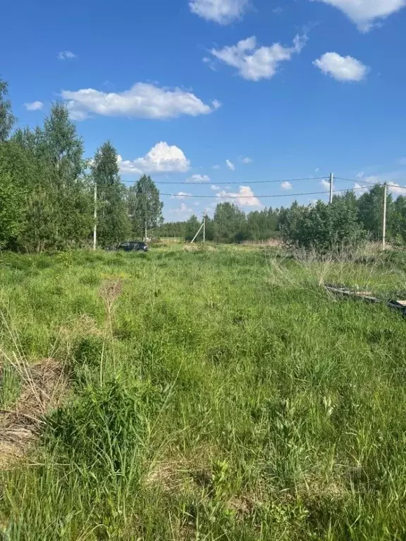 Участок в Нижегородская область, Городецкий муниципальный округ, ... - Фото 1