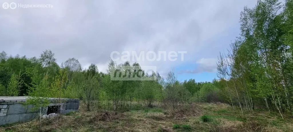 Участок в Нижегородская область, муниципальный округ Бор, деревня ... - Фото 2