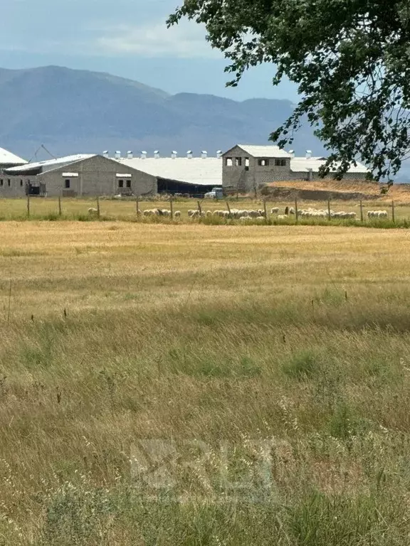 Участок в Дагестан, Махачкала Караман-7 мкр,  (1.0 сот.) - Фото 1