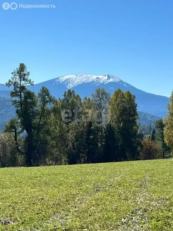 Участок в Чемальский район, село Нижний Куюм (11 м) - Фото 1