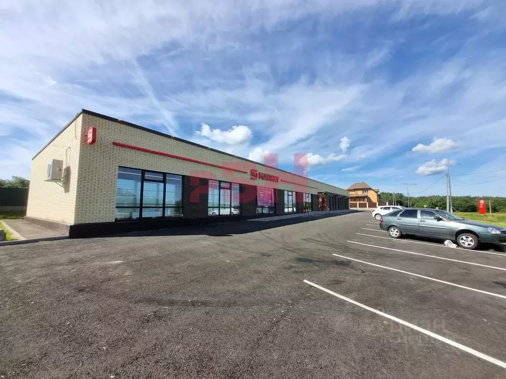 Торговая площадь в Ярославская область, Ярославский муниципальный ... - Фото 1