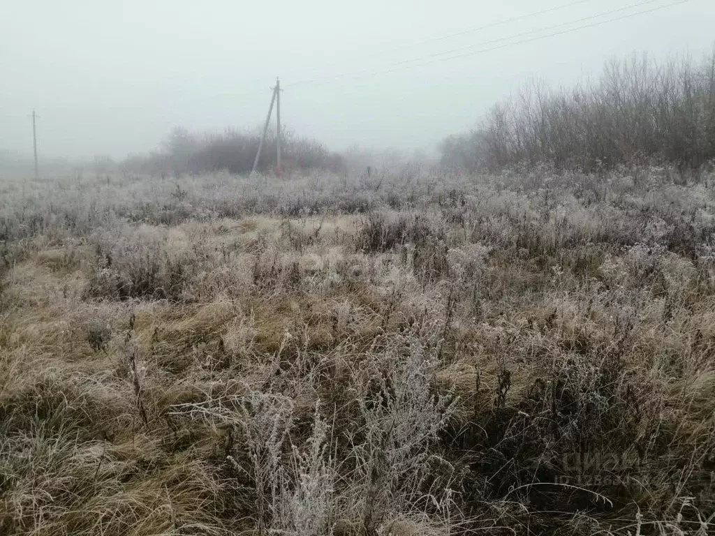 Участок в Воронежская область, Семилукский район, с. Губарево ул. ... - Фото 1