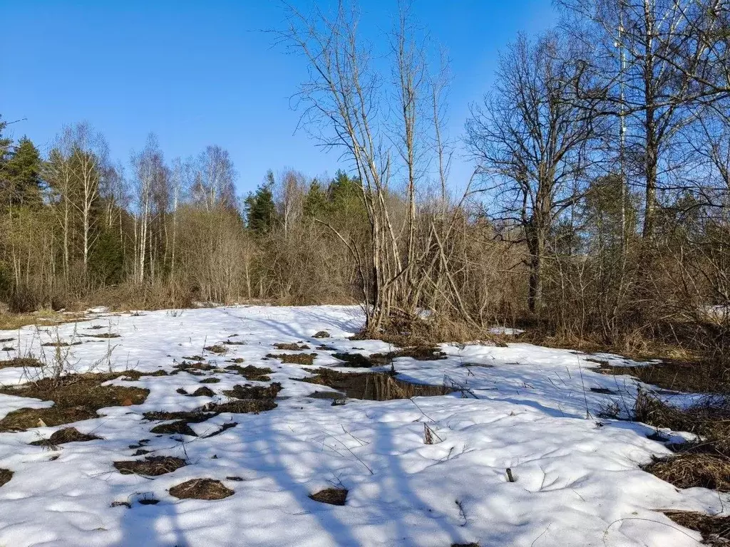 Участок в Московская область, Талдомский городской округ, Запрудня пгт ... - Фото 1