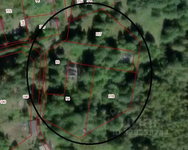 Участок в Ленинградская область, Лужский район, Серебрянское с/пос, д. ... - Фото 2