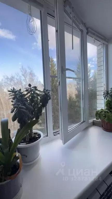 Комната Пензенская область, Пенза проезд 2-й Виноградный, 28 (12.7 м) - Фото 2