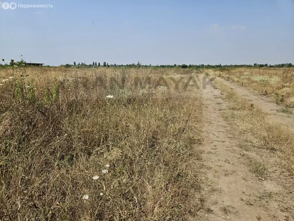 Участок в Майкоп, улица Маршала Мерецкова (6.5 м) - Фото 1
