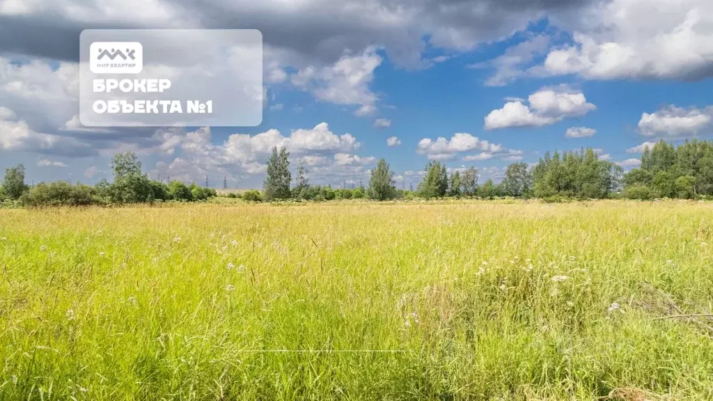 Участок в Ленинградская область, Всеволожский район, Заневское ... - Фото 1