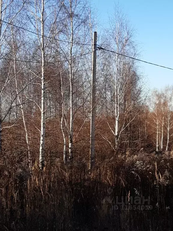 Участок в Тульская область, Тула городской округ, д. Ширино  (15.0 ... - Фото 0