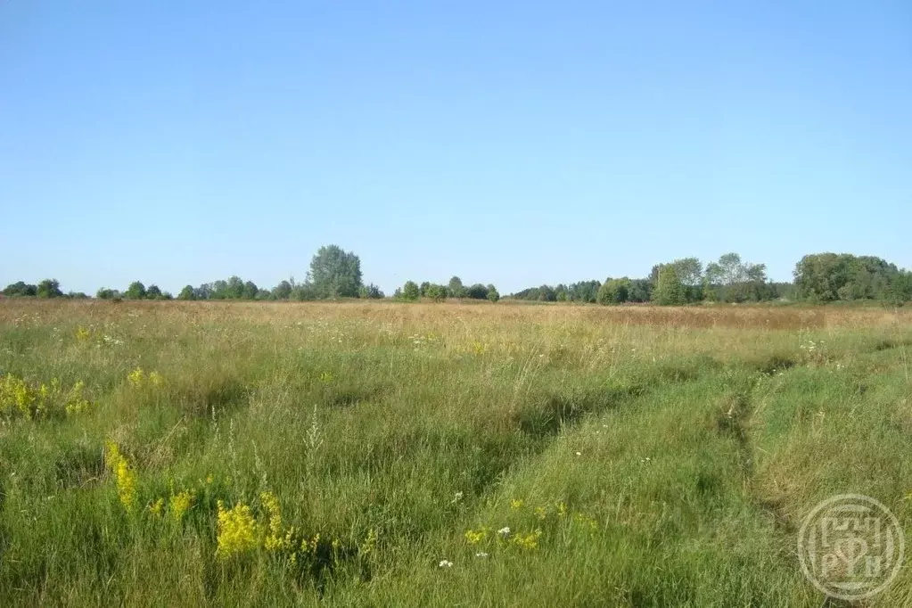 Участок в Ленинградская область, Выборгский район, Красносельское ... - Фото 1