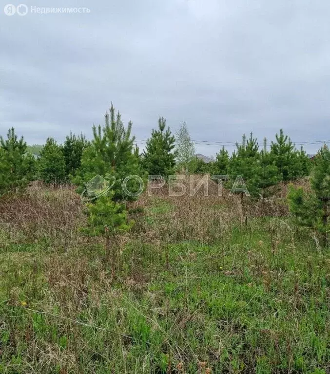 Участок в Тюменский район, деревня Елань, Васильковая улица (5.3 м) - Фото 1