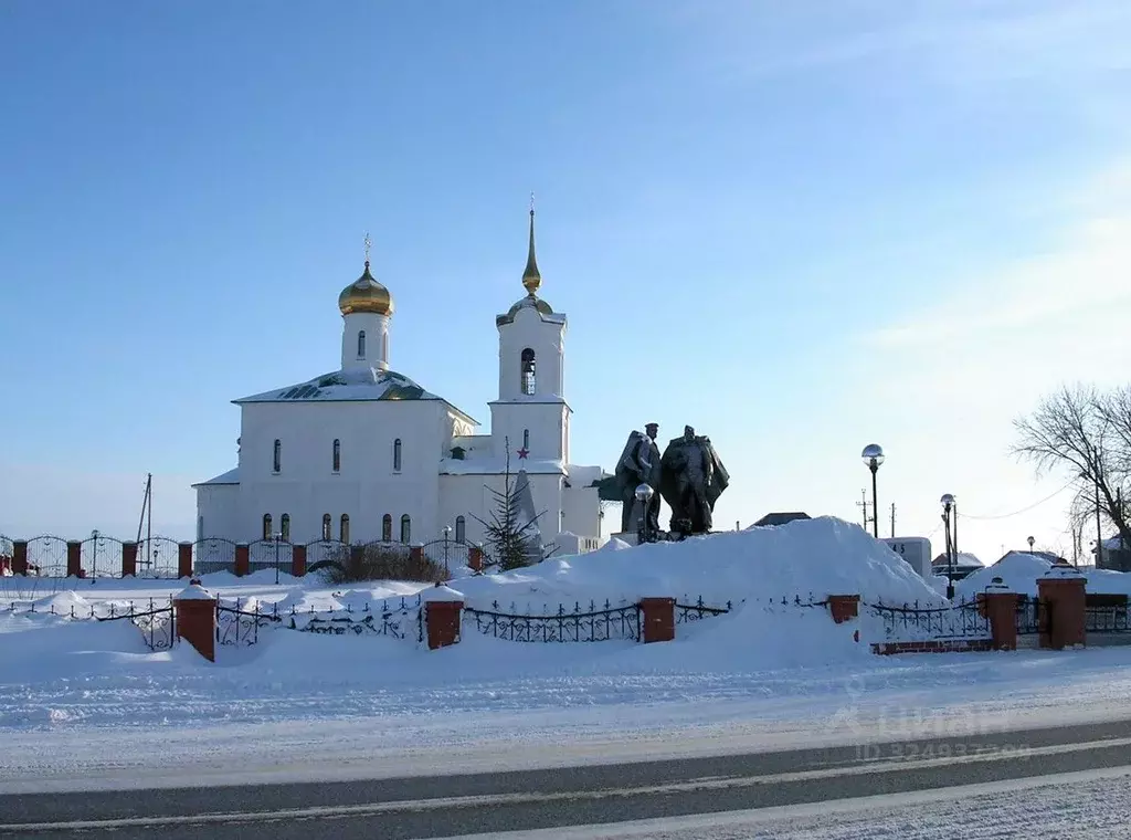 Участок в Тюменская область, с. Казанское  (10.58 сот.) - Фото 2