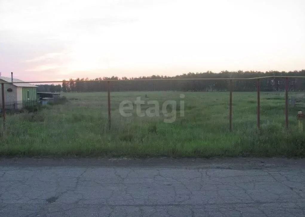 Участок в Омская область, село Азово (13 м) - Фото 0