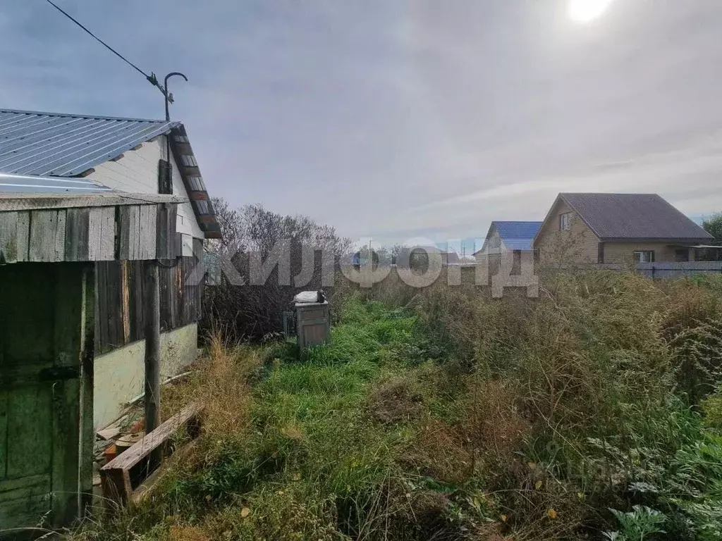 Участок в Новосибирская область, Новосибирский район, Криводановский ... - Фото 0
