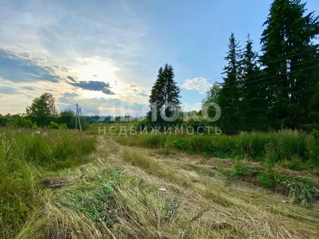 Участок в Пермский край, Березники муниципальное образование Город, с. ... - Фото 1