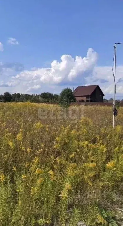 Участок в Тульская область, Дубенский район, Протасовское с/пос, с. ... - Фото 1