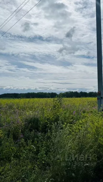 Участок в Тюменская область, Тюменский район, с. Горьковка  (2.0 сот.) - Фото 1