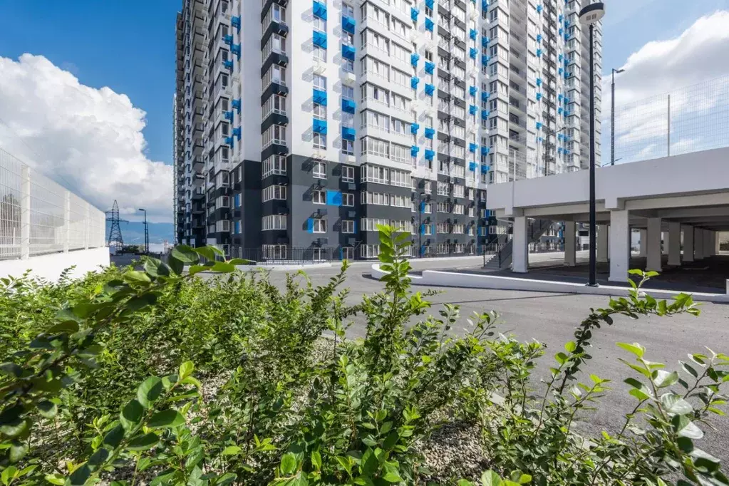 Помещение свободного назначения в Краснодарский край, Новороссийск ул. ... - Фото 2