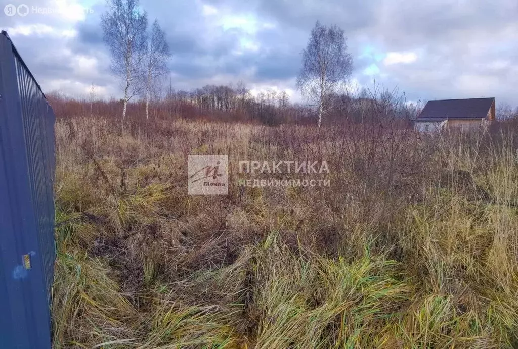 Участок в Ярославская область, Рыбинский муниципальный округ, село ... - Фото 2