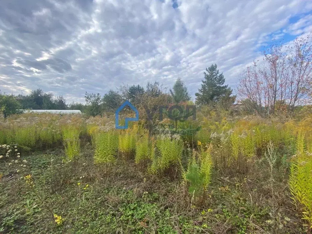Дом в Самарская область, Красноярский район, Старая Бинарадка с/пос, ... - Фото 2