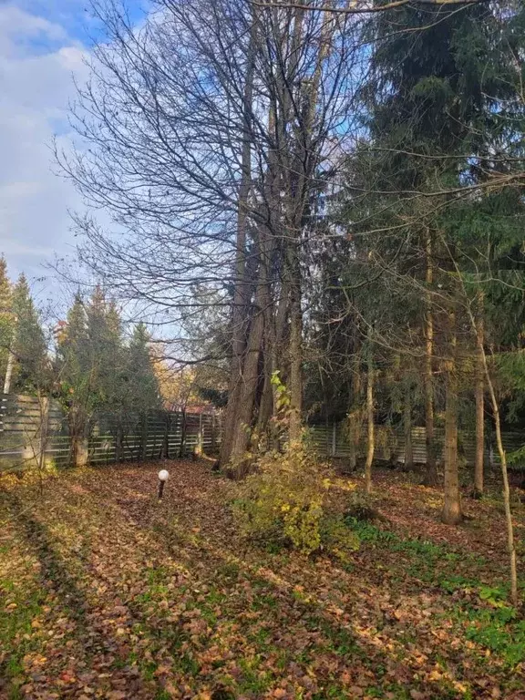 Участок в Московская область, Одинцовский городской округ, д. Сивково, ... - Фото 2