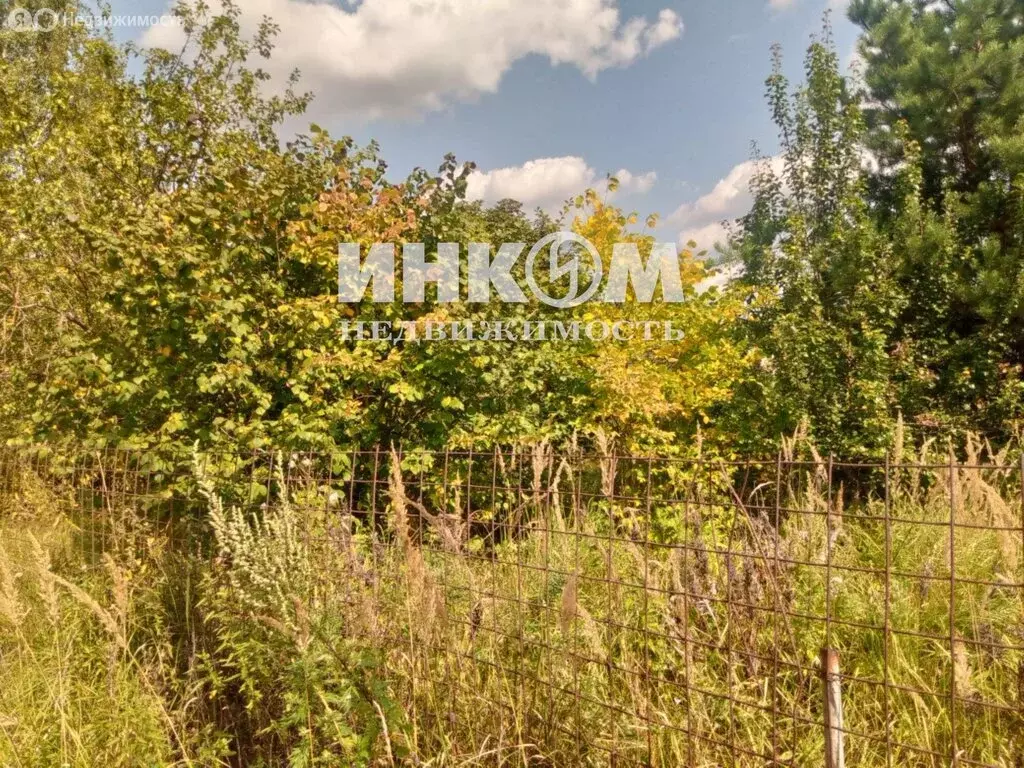 Участок в деревня Донино, Центральная улица, 59 (16 м) - Фото 1
